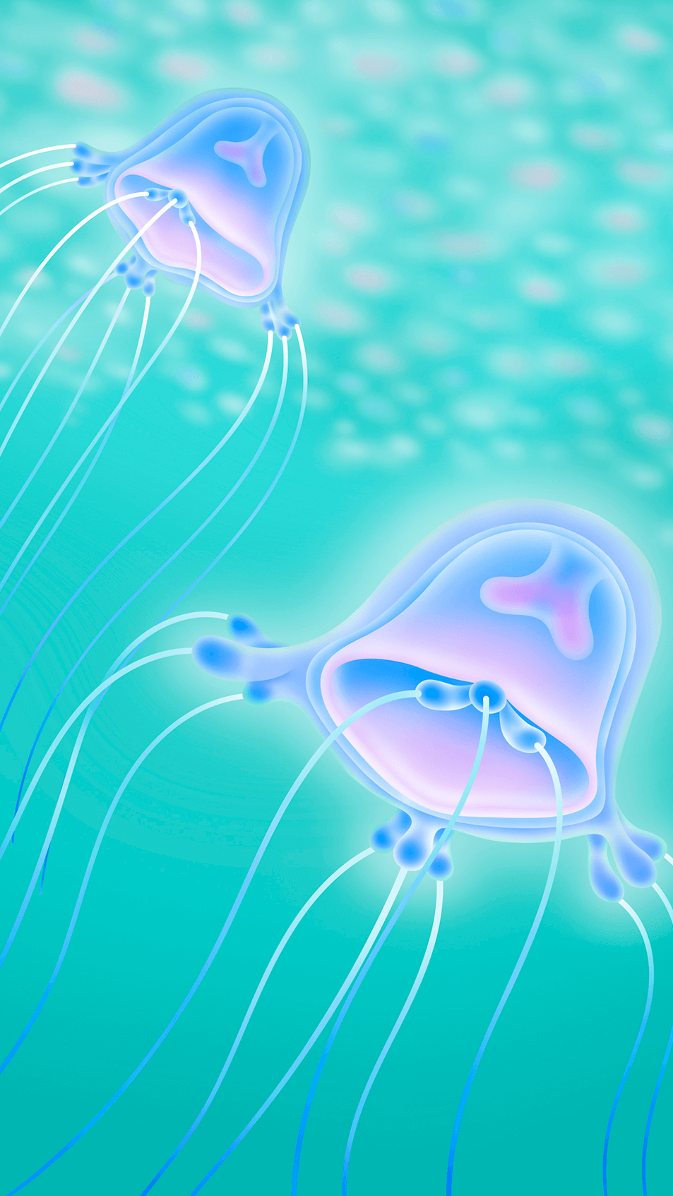 Jellyfish July object-cover h-[calc(100vh-66px)]